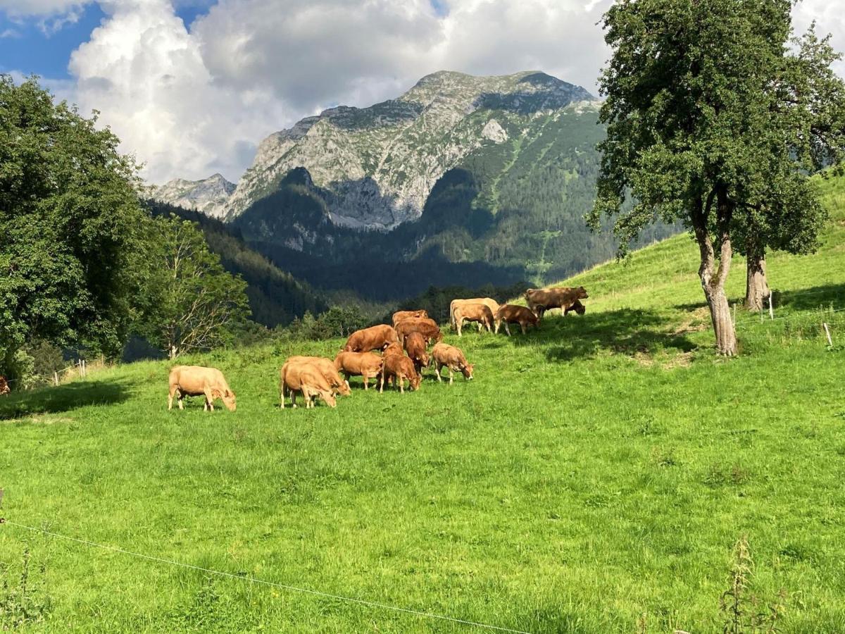 Bauernhof Pacher *