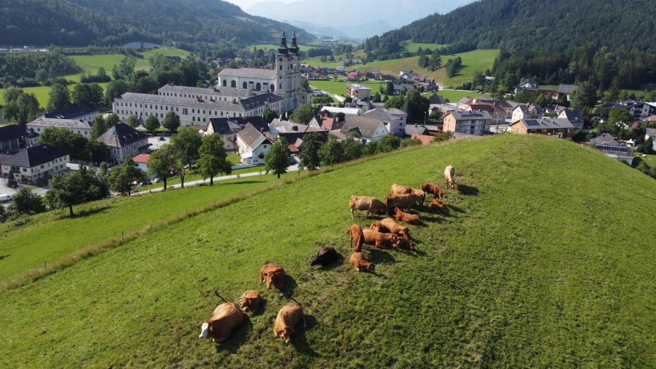 Pacher Bauernhof Spital Am Pyhrn